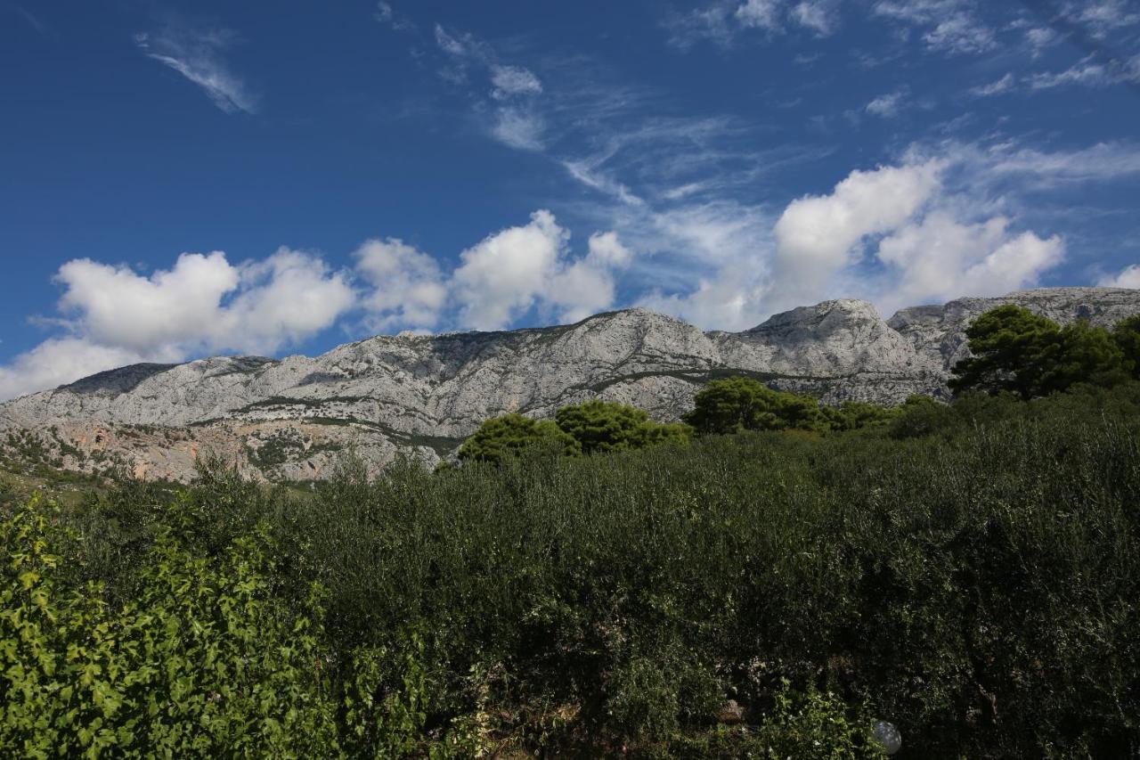 Apartments Viola Tučepi Dış mekan fotoğraf